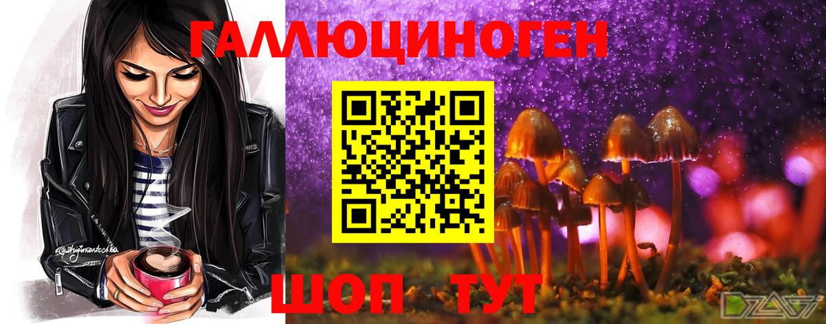 Псилоцибиновые грибы Psilocybine cubensis  Псилоцибиновые грибы мухоморы  Вход с VPN  Чистополь 